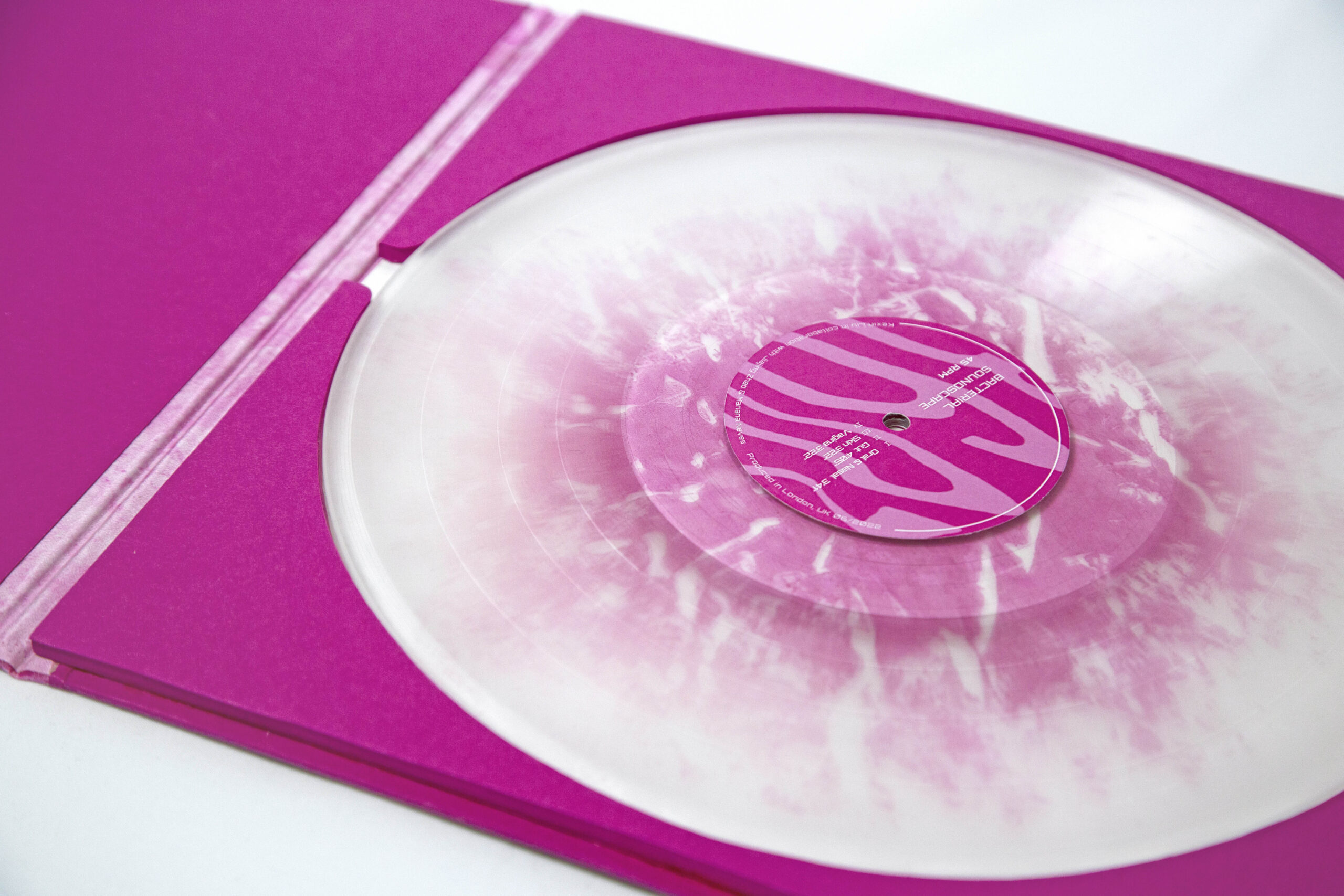 Vinyl Record: Bacteria pigment, vinyl, resin, 300mm×300mm.